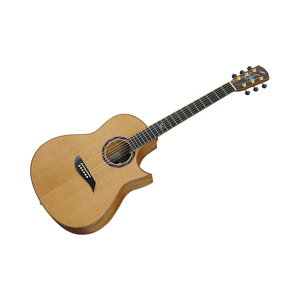 MORRIS S-96 III NAT GNgbN AR[XeBbNM^[