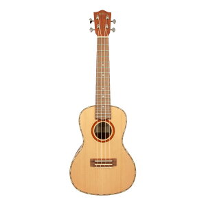 LANIKAI CDST-C RT[gEN