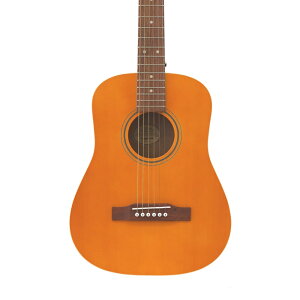 GstH Epiphone El Nino ~jAR[XeBbNM^[