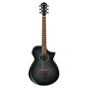 IBANEZ AEWC400-TKS GNgbNAR[XeBbNM^[