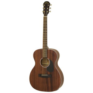 ARIA AF-101MHE Electric Aria Dreadnought GNgbNAR[XeBbNM^[