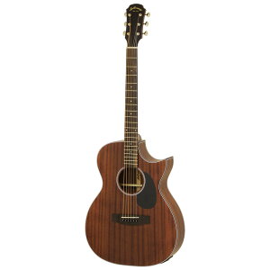 ARIA AF-101MHCE Electric Cutaway Aria Dreadnought GNgbNAR[XeBbNM^[