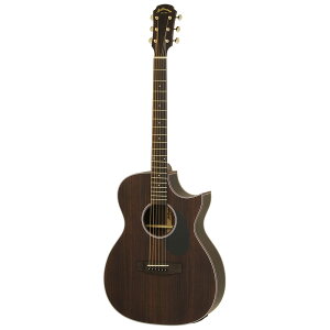 ARIA AF-105RWCE Electric Cutaway Aria Dreadnought GNgbNAR[XeBbNM^[