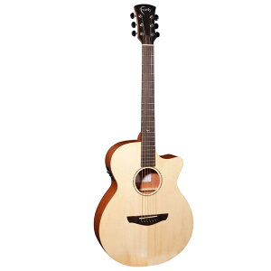 Faith GUITAR NAKED FKV GNgbNAR[XeBbNM^[