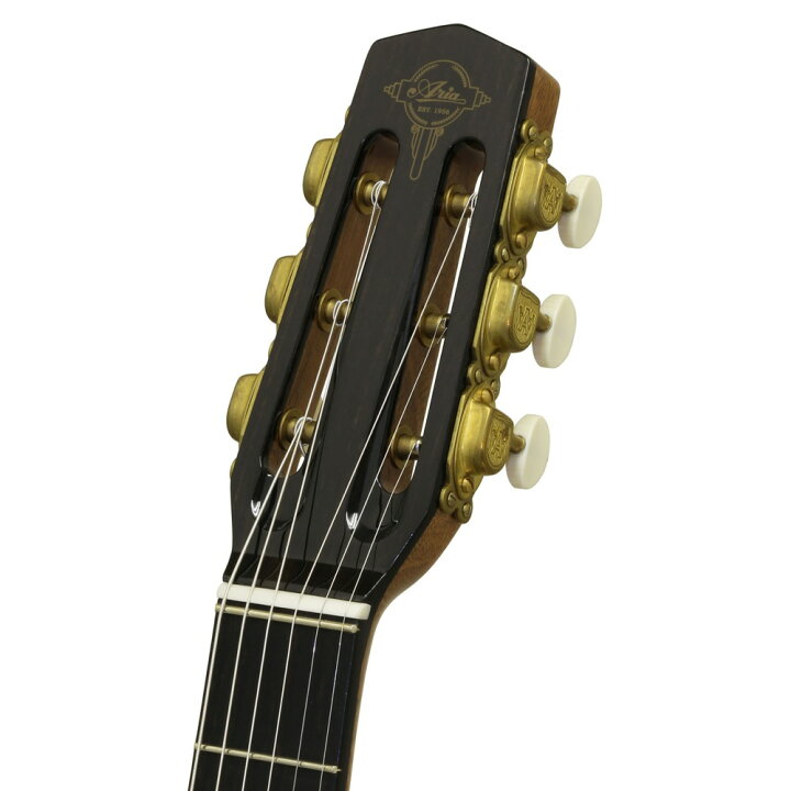 楽天市場】ARIA MM-100/D アコースティックギター : chuya-online 