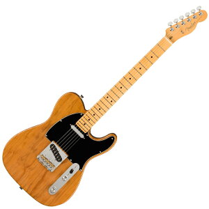 tF_[ Fender American Professional II Telecaster MN RST PINE GLM^[