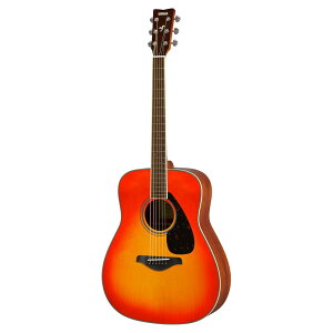 }n YAMAHA FG820 AB AR[XeBbNM^[