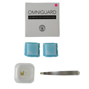 SILVERSTEIN OG01D OMNIGUARD ���b�v�v���e�N�^�[ 2������
