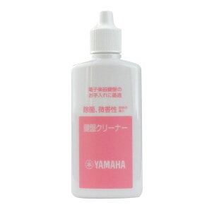 }n YAMAHA KC-01 dqՊyp ՃN[i[