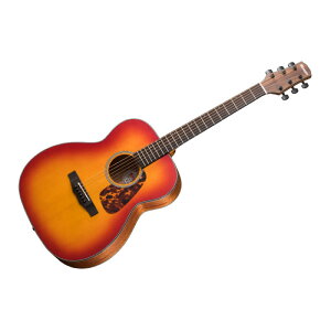 MORRIS F-021 CS AR[XeBbNM^[