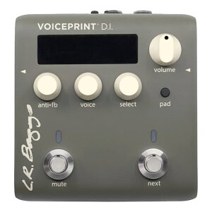 L.R.Baggs Voiceprint DI �A�R�[�X�e�B�b�N�M�^�[�p�y�_��