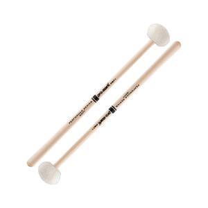 PROMARK PST1 eBpj}bg