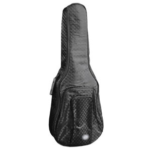 Kavaborg MGB-300F Acoustic Black AR[XeBbNM^[pMOobO