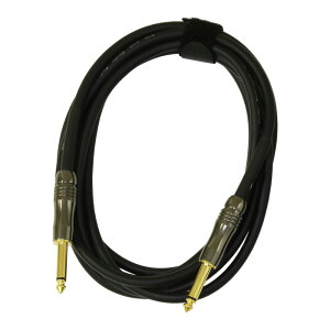 AriaProII ASG-10SP M^[P[u 10ft 3m SS