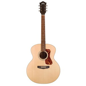 GUILD F-240E NAT GNgbNAR[XeBbNM^[