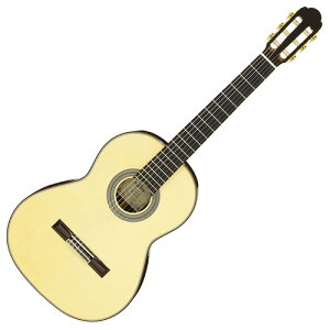 ARIA A-200S Basic NVbNM^[ CgtH[P[Xt