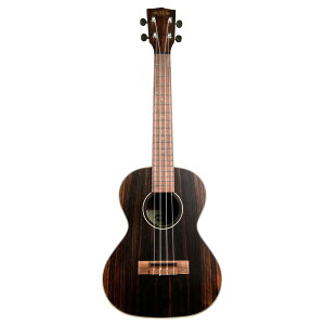 KALA KAEBY-T-WBAG20_06 STRIPED EBONY TENOR ei[EN