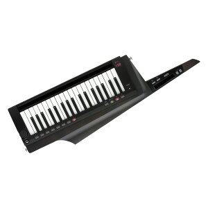 RO KORG RK-100S 2 BK KEYTAR V_[L[{[h VZTCU[