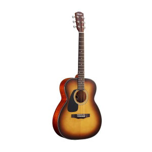 MORRIS F-010 LH TS p AR[XeBbNM^[