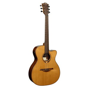 LAG GUITARS T118ACE GNgbNAR[XeBbNM^[