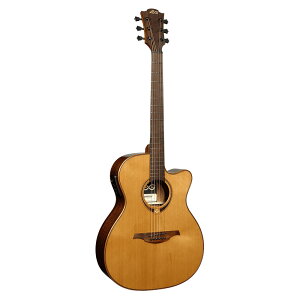 LAG GUITARS T118ASCE GNgbNAR[XeBbNM^[