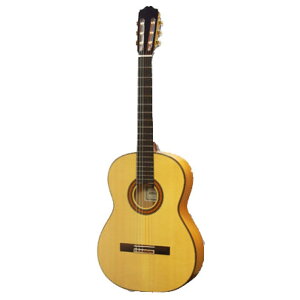 ASTURIAS FLAMENCO CUSTOM S tRM^[