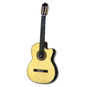 ASTURIAS Tsuji S-CW-S GKbgM^[