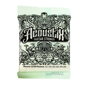 Bog Street Acoustic Guitar Strings 12/54 Medium AR[XeBbNM^[