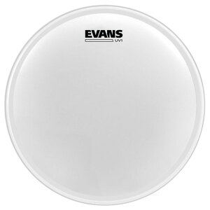 EVANS B16UV1 UV1 Coated Bass �h�����w�b�h