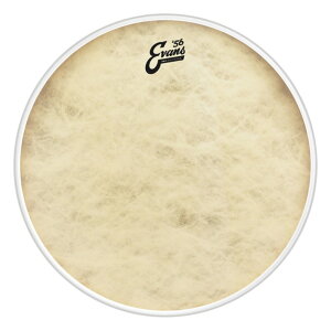 EVANS BD18GB4CT '56 - EQ4 Calftone Bass �o�X�h�����w�b�h