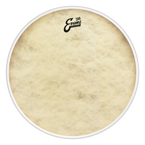 EVANS BD22CT '56 - Calftone Bass �o�X�h�����w�b�h