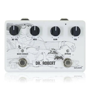 Aclam Guitars Dr. Robert v2 I[o[hCu M^[GtFN^[
