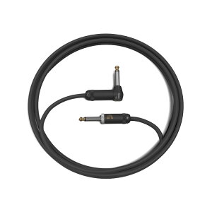 Planet Waves by D'Addario PW-AMSGRA-10 3.04m SL ypV[hP[u