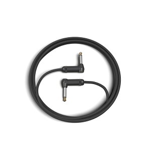 Planet Waves by D'Addario PW-AMSGRR-10 3.04m LL ypV[hP[u