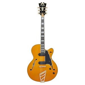 D'Angelico Excel 59 Vintage Natural GLM^[