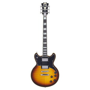 D'Angelico Deluxe Brighton Vintage Sunburst GLM^[