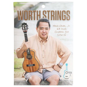 Worth Strings COJ-2 Herb OhtaJr.f EN tJ[{ Low-GZbg