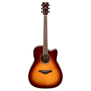 }n YAMAHA FGC-TA BS gXAR[XeBbNM^[ GARM^[