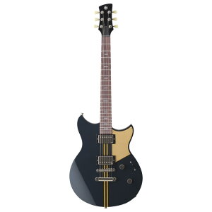 REVSTAR SERIES RSP20X [RBC]