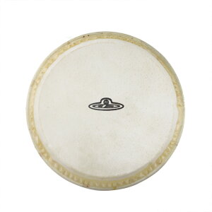 LP CP221A CP221�{���S�p�w�b�h S