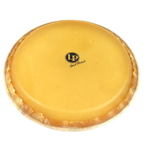 LP LP274C Z�R���K�w�b�h12-1/2 �R���K�p�w�b�h