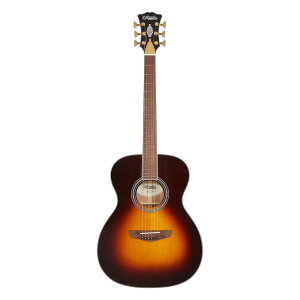 D'Angelico Excel Tammany XT Vintage Sunburst GNgbNAR[XeBbNM^[
