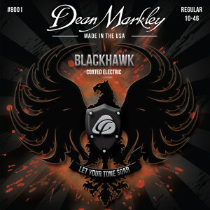 Dean Markley DM8001 BLACK HAWK REGULAR 10-46 GLM^[