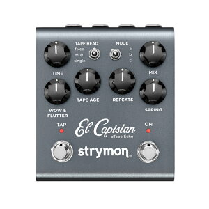 strymon El Capistan V2 dTapeGR[ M^[GtFN^[