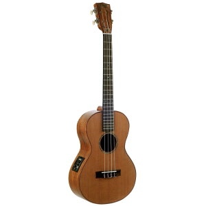 MAHALO MM4E MASTERV[Y sbNAbvtogEN