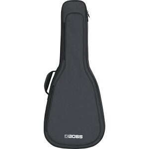 BOSS CB-AG10 AR[XeBbNM^[P[X MOobO