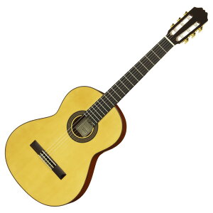 ARIA ACE-5S 640 Spruce NVbNM^[