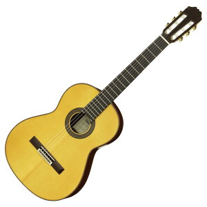 ARIA ACE-7S 640 Spruce NVbNM^[