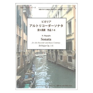 2296 �r�K���A �A���g���R�[�_�[�\�i�^ �σ����� ��i1-6 ���R�[�_�[JP