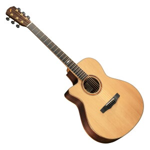 MORRIS SE-102LH teB AR[XeBbNM^[ tBK[sbJ[M^[